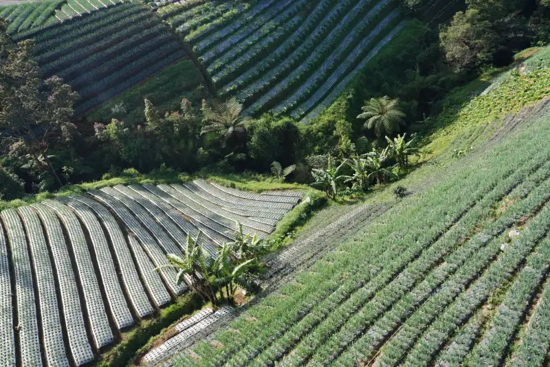 深圳企业部署预算管理软件光盘的关键实施步骤